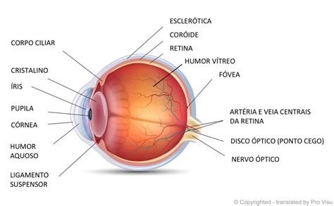 Dor nos olhos e suas causas Clínica Regenerati Neurologia