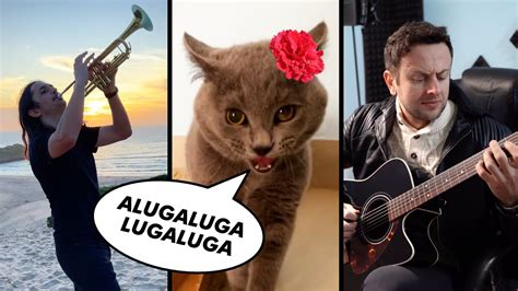 The Kiffness X Alugalug Cat 2 0 Please Go Away Flamenco Edit Ft