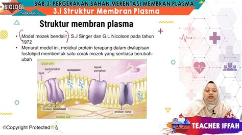 F4 BIO 03 01 Struktur Membran Plasma Jom Tuisyen