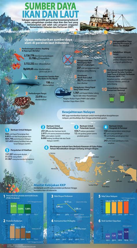 Sumber Daya Ikan Dan Laut Infografik ANTARA News