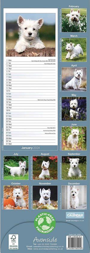 West Highland White Terrier Kalender Slimline Bol