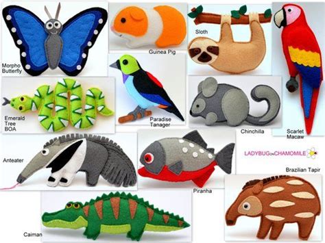 Amazon Rainforest Animals Cartoon | RAINFOREST ANIMAL