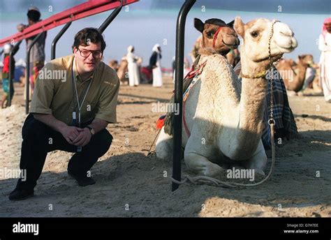 Camel Racing. Dubai Stock Photo - Alamy