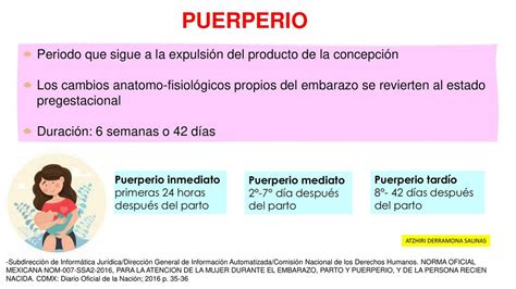 Puerperio Patol Gico Atzhiri Salinas Udocz