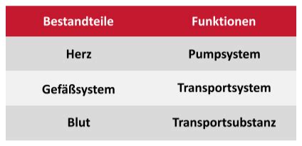 Das Herz Kreislauf System Karteikarten Quizlet