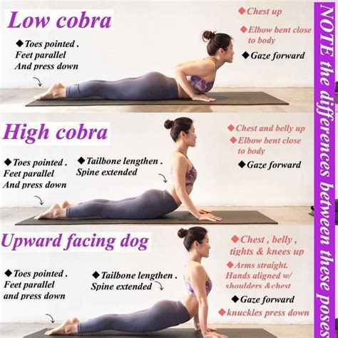 best cobra pose vs upward dog images – Yoga Poses