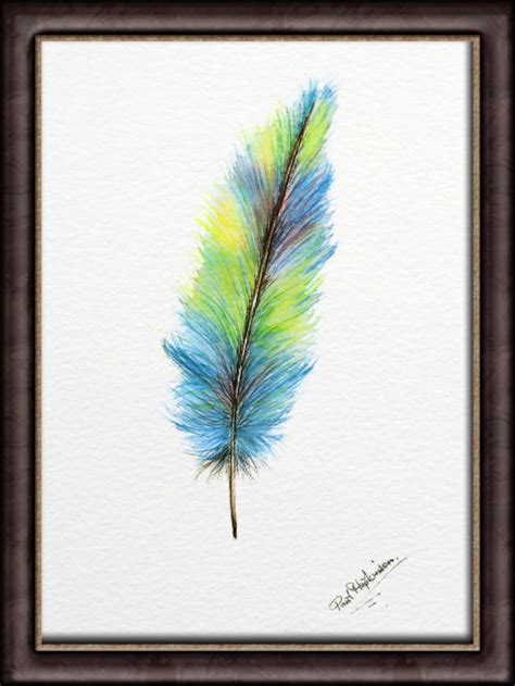 Feather Original Watercolour Painting Affordable Art The Devon Artist