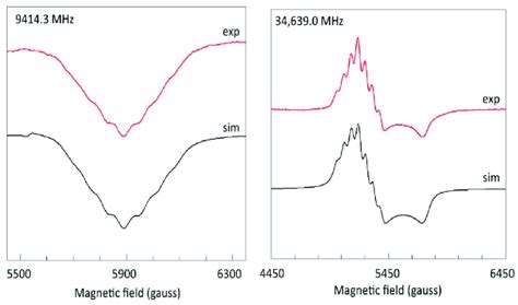 Copper pair hyperfine structure in X-and Q-band spectra of copper ...