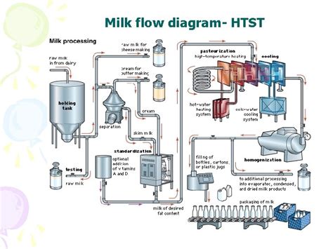 Pasteurizer Flow Diagram