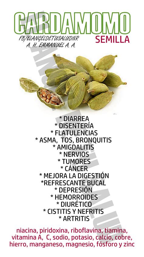 BENEFICIOS DEL CARDAMOMO Salud Y Nutricion Tratamiento De Las