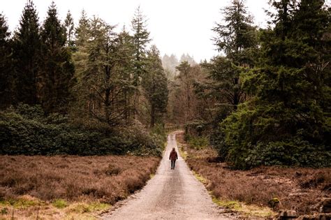 Wandelroutes In De Achterhoek Vind Hier Jouw Route Artofit