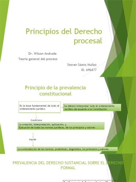 Presentación Principios Procesales Pdf Ley Procesal Jurisdicción