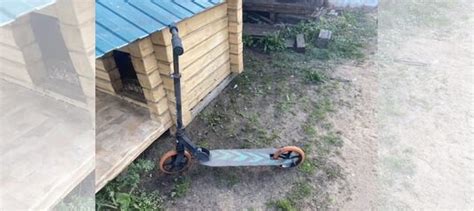 Самокат купить в Ярославле | Личные вещи | Авито