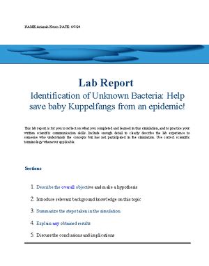 Lab Report Smooth Muscle Learn How Your Gut Contracts Name Date Lab