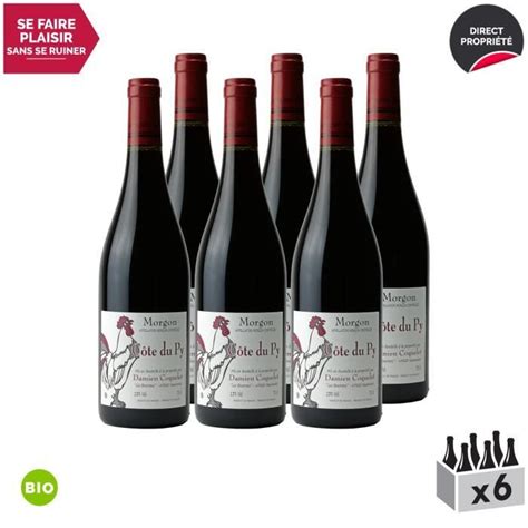 Morgon Côte de Py Rouge 2019 Bio Lot de 6x75cl Domaine Damien