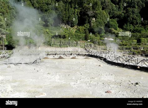 Furnas, Sao Miguel island, Portugal Stock Photo - Alamy