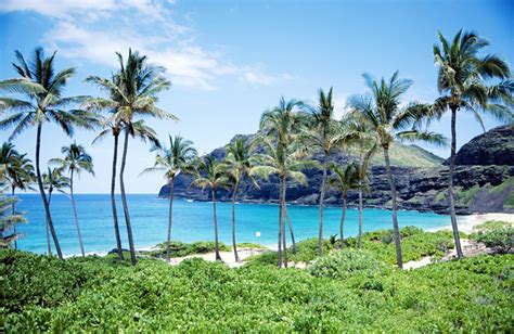 TOP WORLD PIC: Hawaii beach