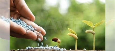 Аммофос 12 52 постоплата купить в Альметьевске | Товары для дома и дачи ...