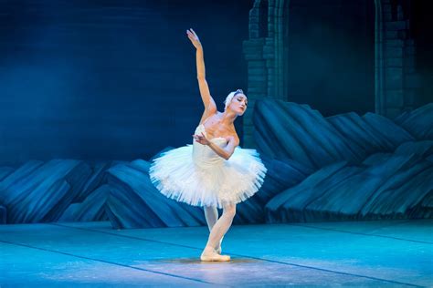 Ballet Swan Lake Ballerina Dance Swan Free Image From Needpix