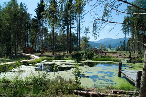 Sommer In Bad Feilnbach Bad Feilnbach