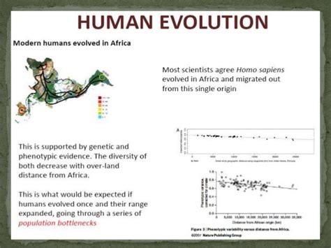 MOLECULAR ARCHAEOLOGY