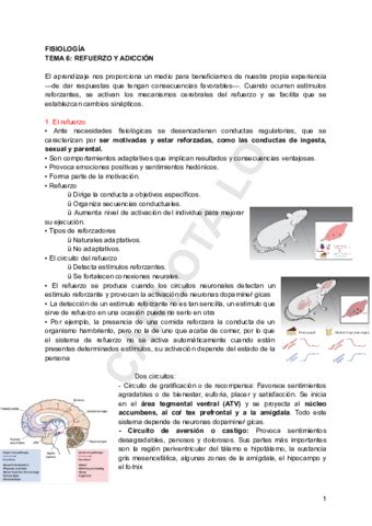 FISIO TEMA 6 Pdf