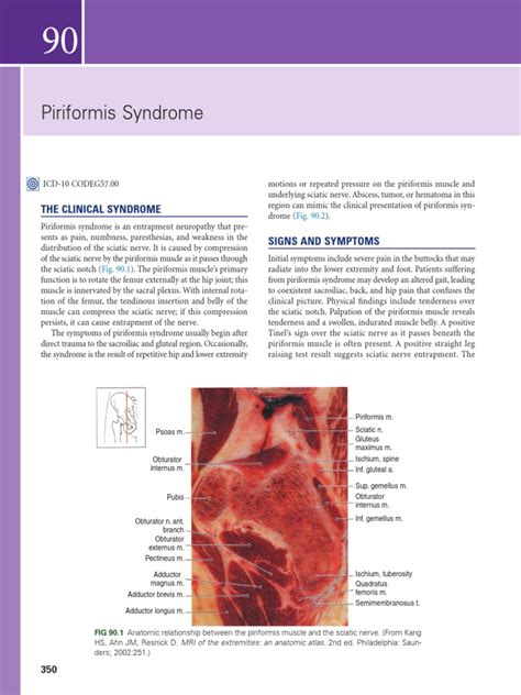 Piriformis Syndrome The Clinical Syndrome Signs And Symptoms Pdf