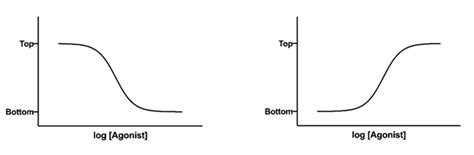 How Do I Perform A Dose Response Experiment Faq 2188 Graphpad