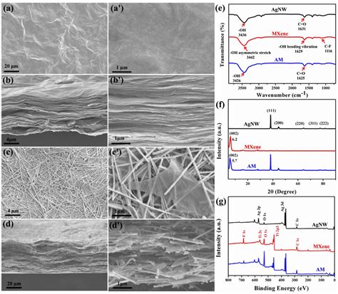 A A Surface And B B Cross Section Sem Images Of Pure Mxene Film