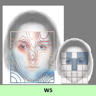 Prediction Of Evoked Activity With Face Cue Map Spatial Regressor A