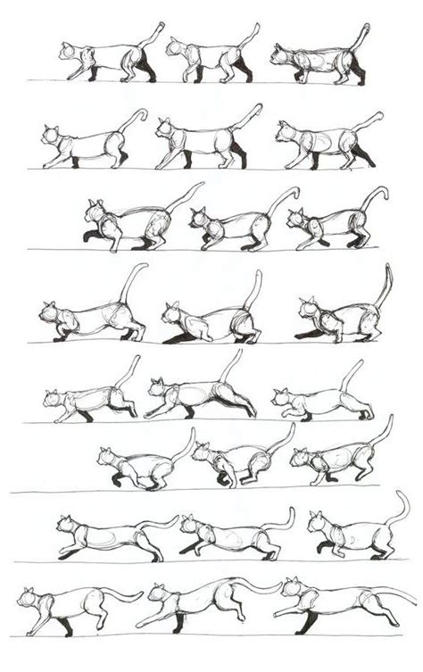 Cat Walking Animation Reference - Cats Anime Drawing