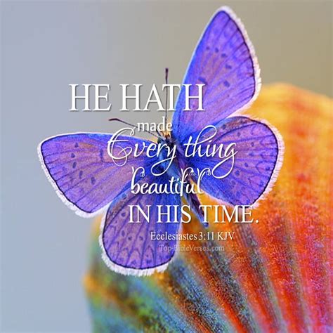 Ecclesiastes 3 11 Bible Quotes Dp He Hath Made Every Thing Beautiful