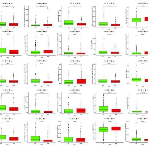 Differential Analysis Of Immune Cell Infiltration In High And