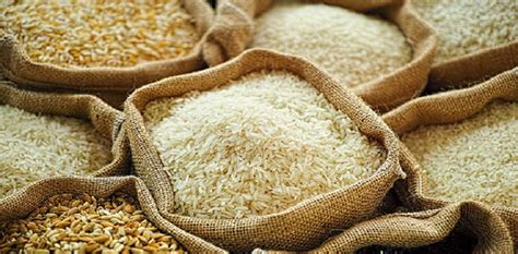 Rice Exports Banned By World S Top Exporter