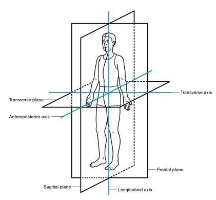 Longitudinal Axis Movement