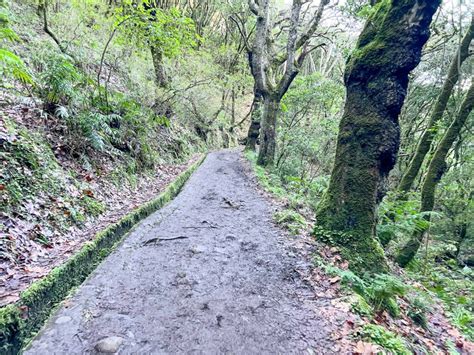 Wandelen Op Madeira PR10 Levada Do Furado En PR11 Vereda Dos