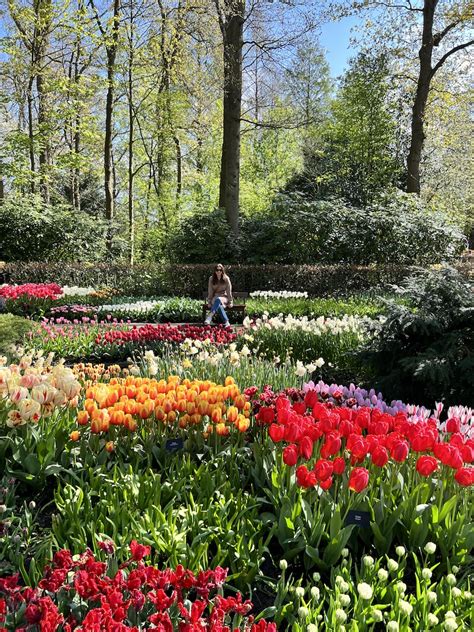 Visiting Keukenhof Gardens, Holland - Cathedrals & Cafes Blog