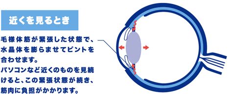 目の焦点が合わない原因は？ アキュビュー® 【公式】