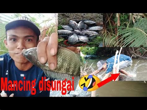 Mancing Ikan Nila Sungai