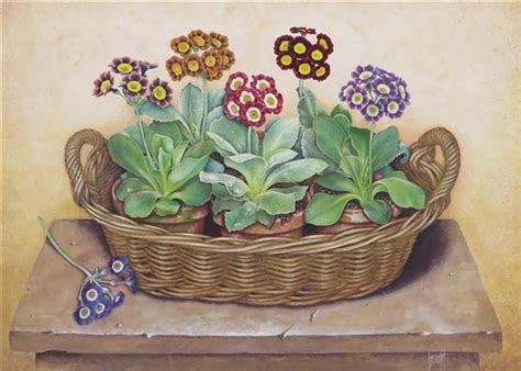 José Escofet Still life of Auriculas in a basket MutualArt