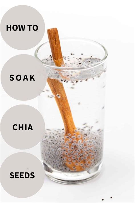 How To Soak Chia Seeds Tips Storage Fun Facts And More