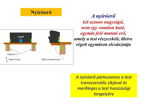 A mozgatórendszerre ható erők ppt letölteni