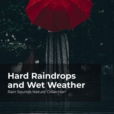 Hard Raindrops And Wet Weather Album By Rain Sounds Nature Collection