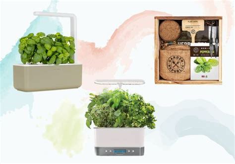 We Tested The Best Herb Garden Kits For Deliciously Easy Produce At