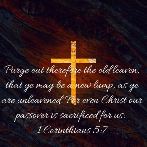 1 Corinthians 5 Christ The Passover Lamb Unashamed Of Jesus