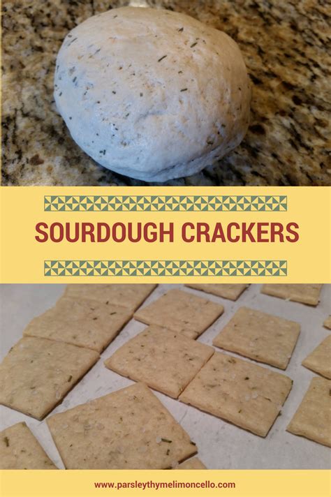 Sourdough Crackers #sourdough #breads #crackers Snack Dip Recipes ...