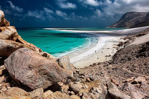 The Magic Of Socotra Moss And Fog