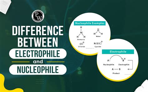 Difference Between Electrophile And Nucleophile