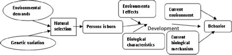 Biological and environmental factors interact and influence one another ...