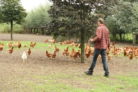 Unieke Biologische Boerderij Bleieren